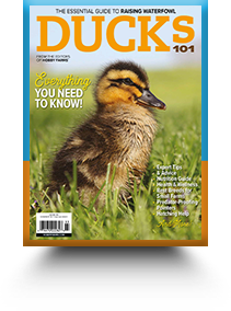 Ducks 101 Magazine
